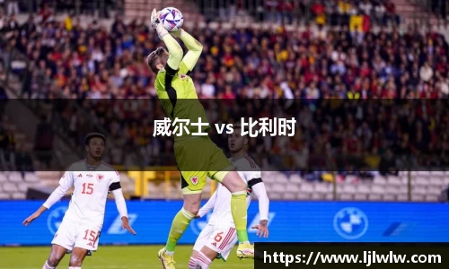 威尔士 vs 比利时