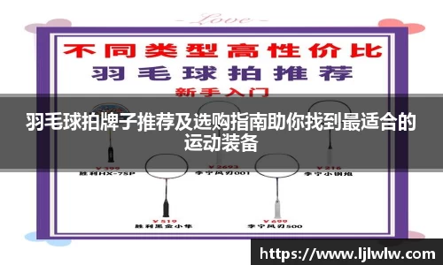 羽毛球拍牌子推荐及选购指南助你找到最适合的运动装备
